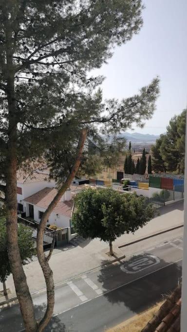 شقة Views, Family & Private Parking In Alto Albayzin غرناطة المظهر الخارجي الصورة